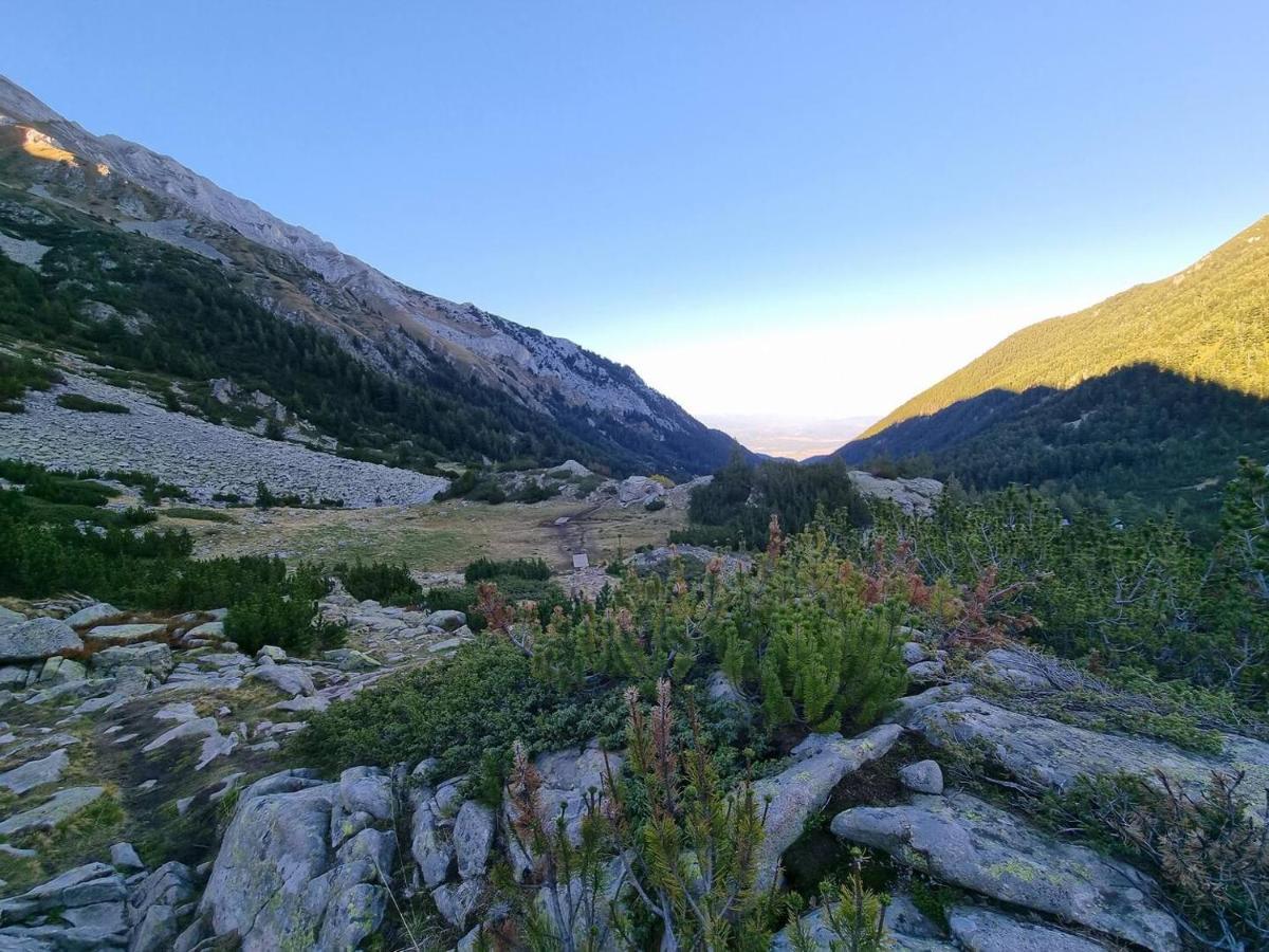 Bansko Royal Towers T&K Apartment Luaran gambar